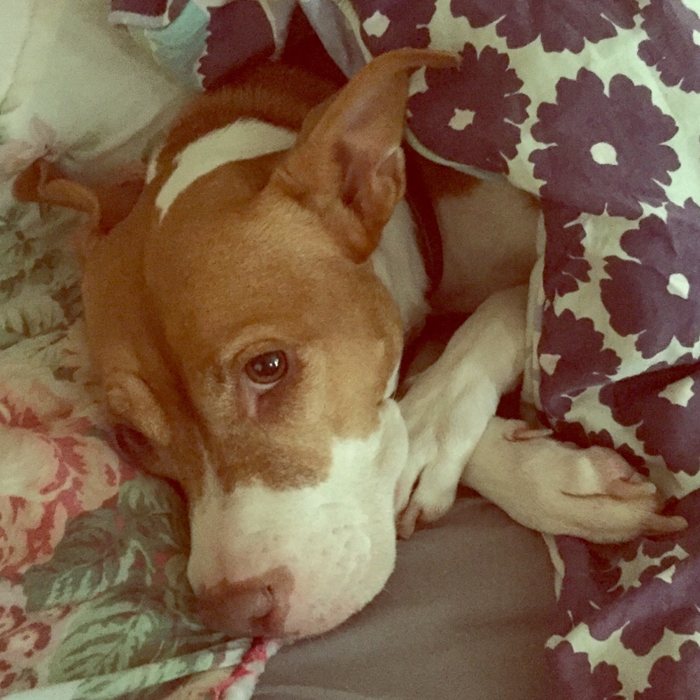 Special bundle for emaleigh 💚